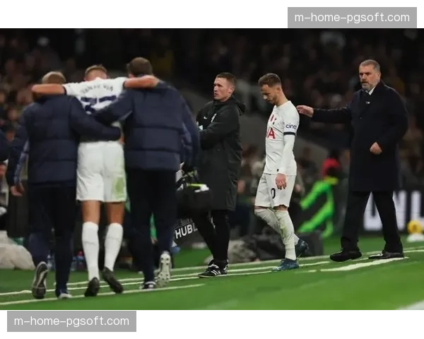 热刺遭遇严重伤病潮 中场防线多名主力缺阵雪上加霜