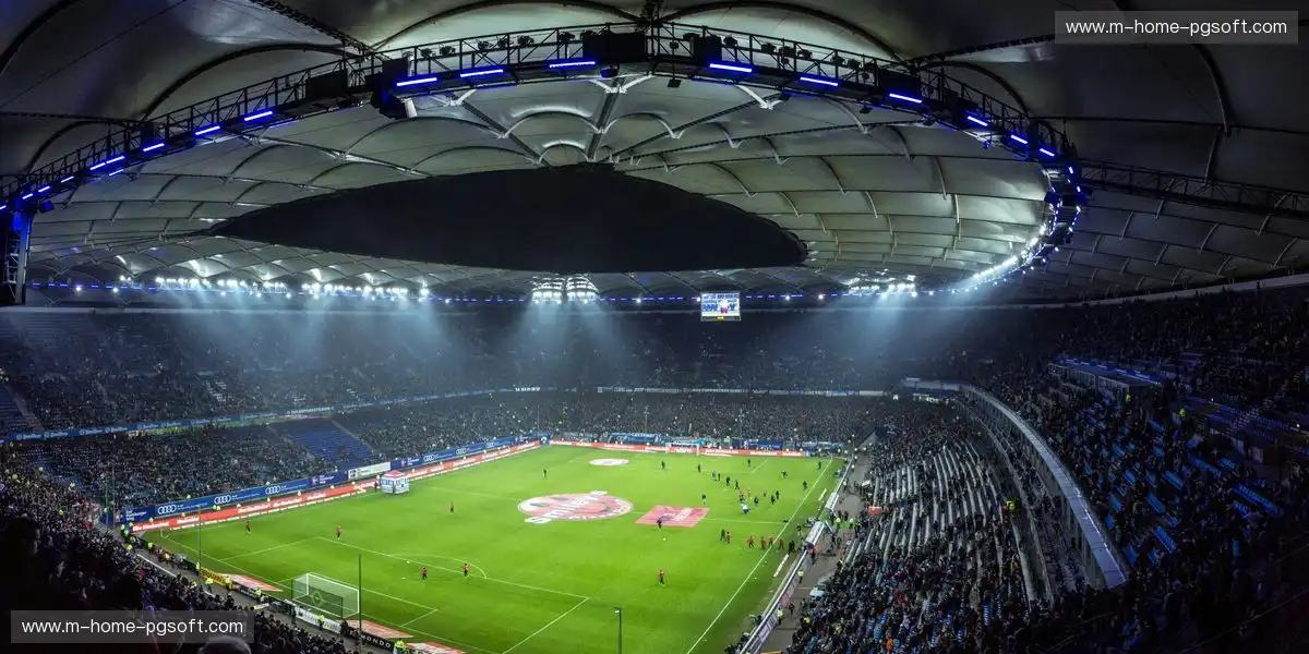 体育运营模型逐步模块化